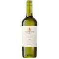 SALENTEIN SAUVIGNON BLANC - 2020